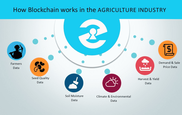 Manfaat Blockchain untuk Rantai Pasok Industri Makanan